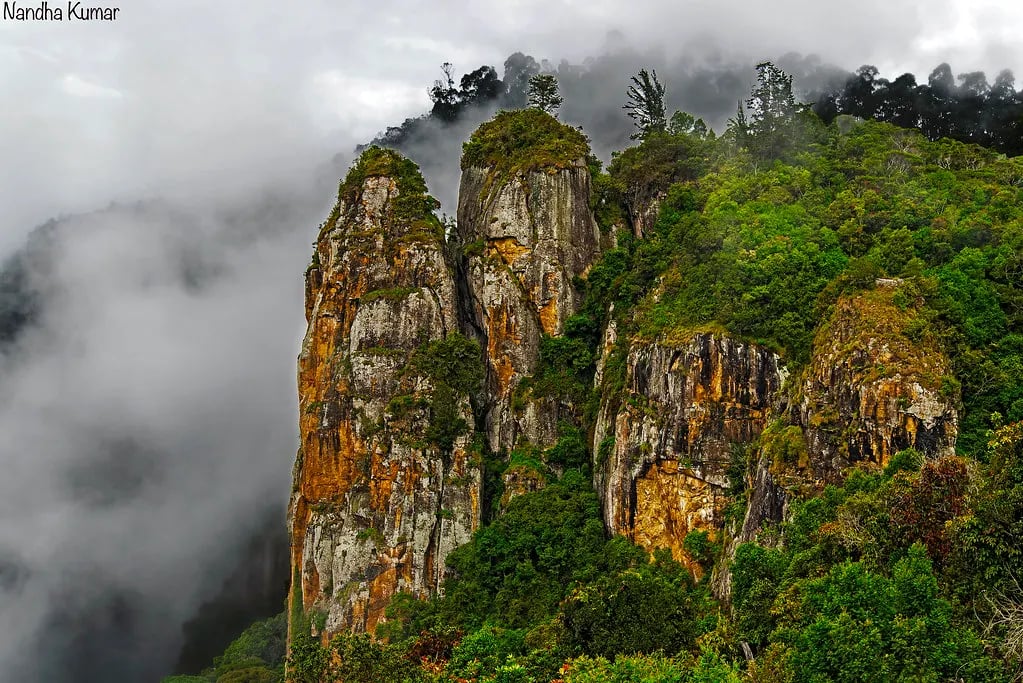 KodaiWorldTravels - 3