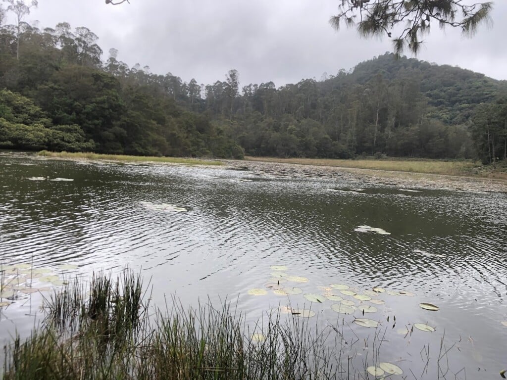 Sri Ayyappas Tours And Travel - 2