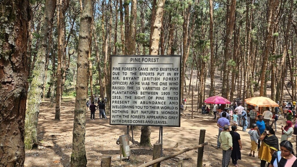 Kodai Make My Cabs - Car Rental Hire in Kodaikanal - Travels in Kodaikanal - Cabs Rental Hire in Kodai Road - 2