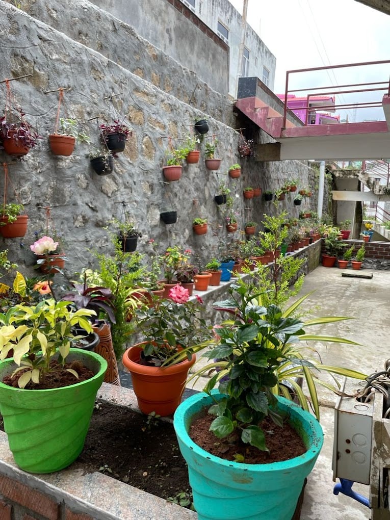 Snehan Ayurvedic Health Spa & Treatment Centre - 3