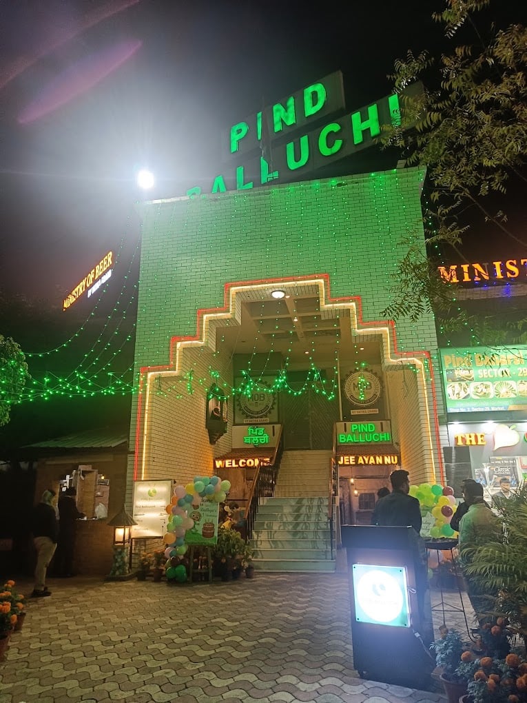 Pind Balluchi Vatika Sector 29 - 3