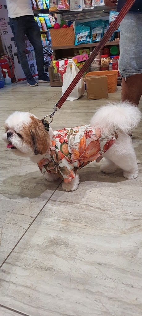 Pet Gallery - One Stop Pet Shop - 3