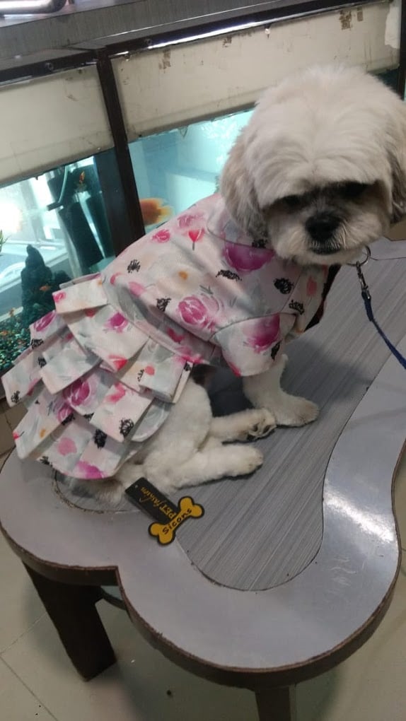 Sicons The Pet Safari - 4