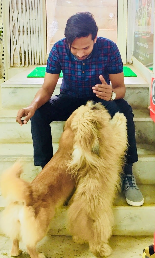 Bath 'n' Biscuit - 5