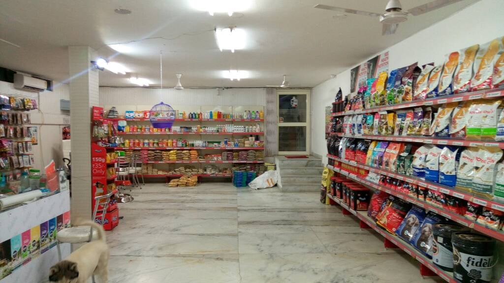 Bath 'n' Biscuit - 2