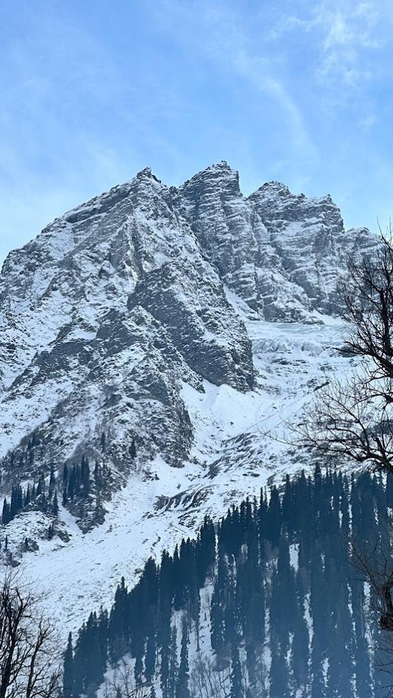 TripzyGo International (H.Q.) - 2