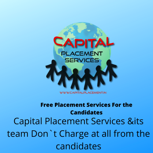 Capital Placement Services