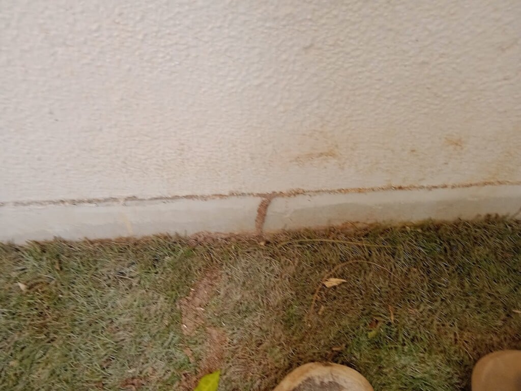 Quality pest control in gurgaon - 4