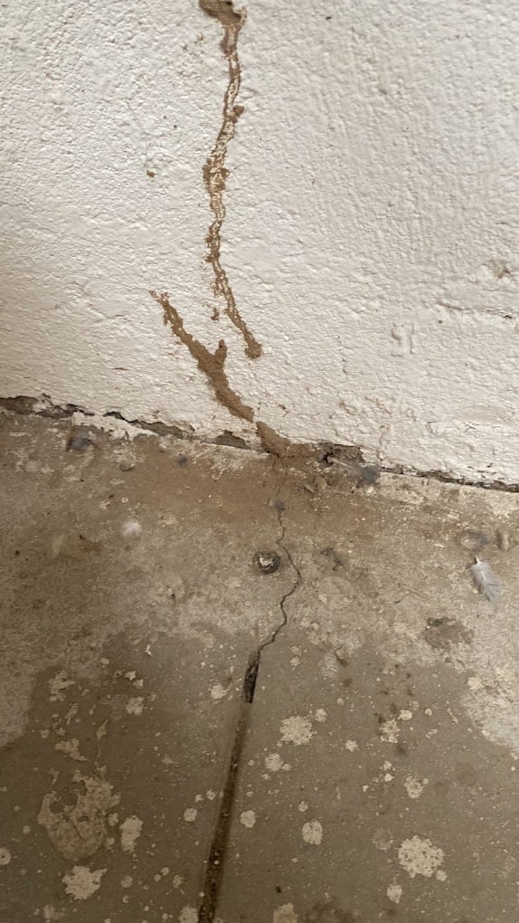 Quality pest control in gurgaon - 5