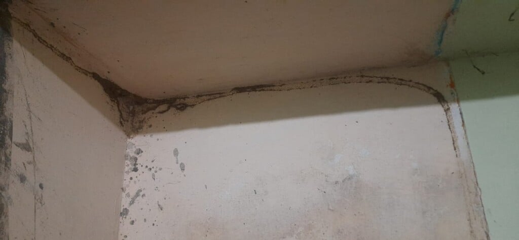 Hindustan Pest Control Services