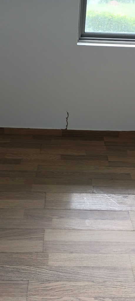 SERVICE MANTRA PEST CONTROL - 4