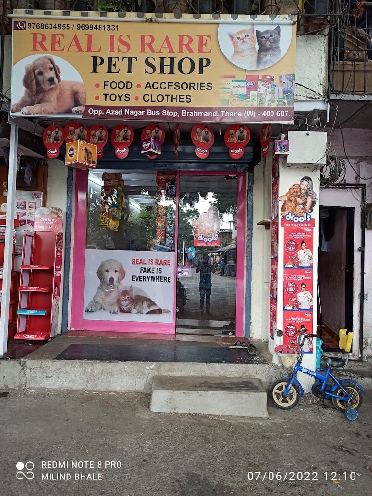 Real is rare pet shop