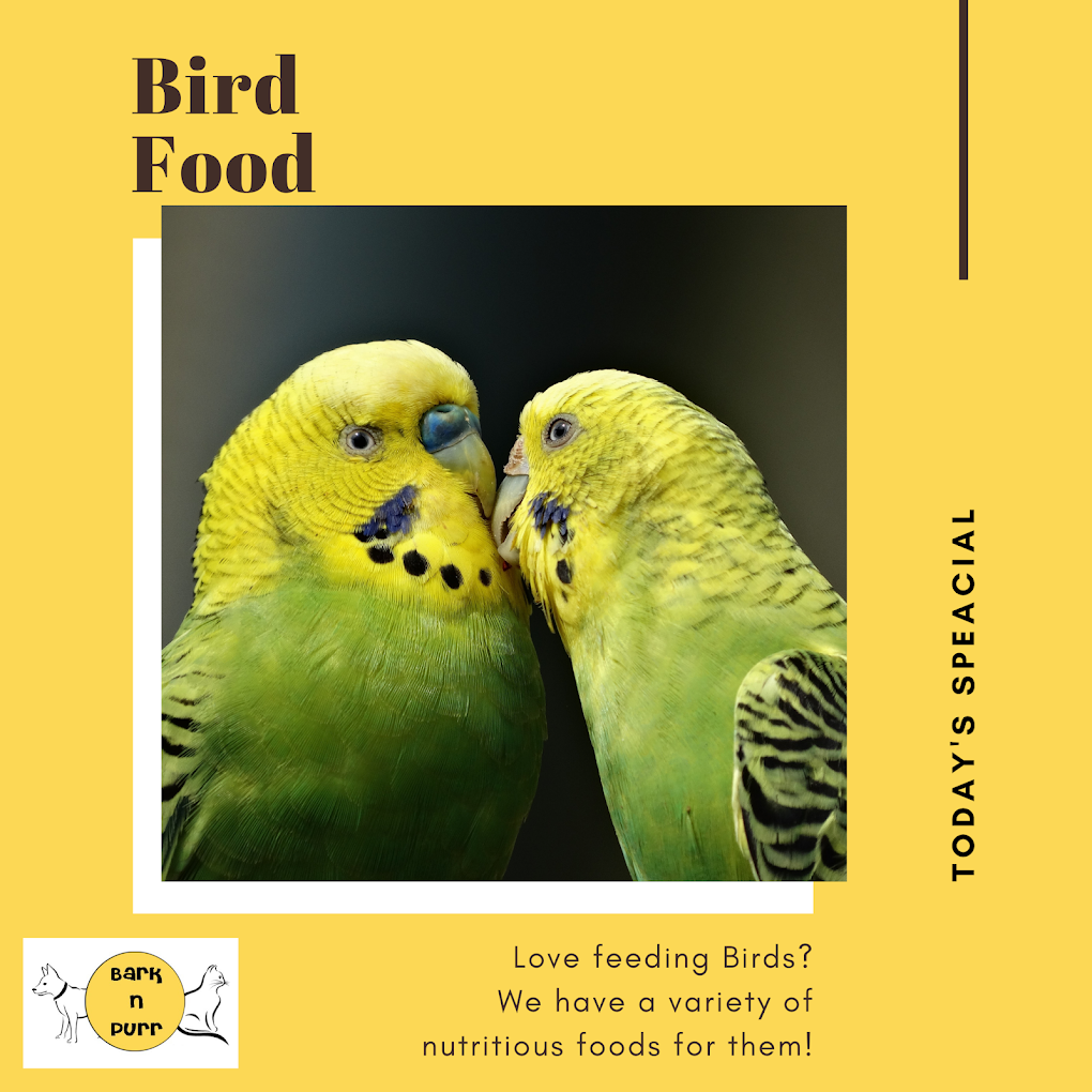 Bark n Purr Pet Shop - 4