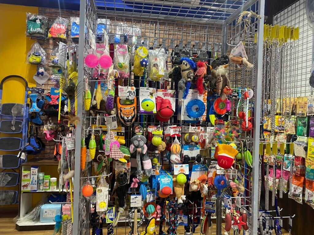 BonBella The Pawsome Store and Pet Boarding - Rustomjee Azziano - 4