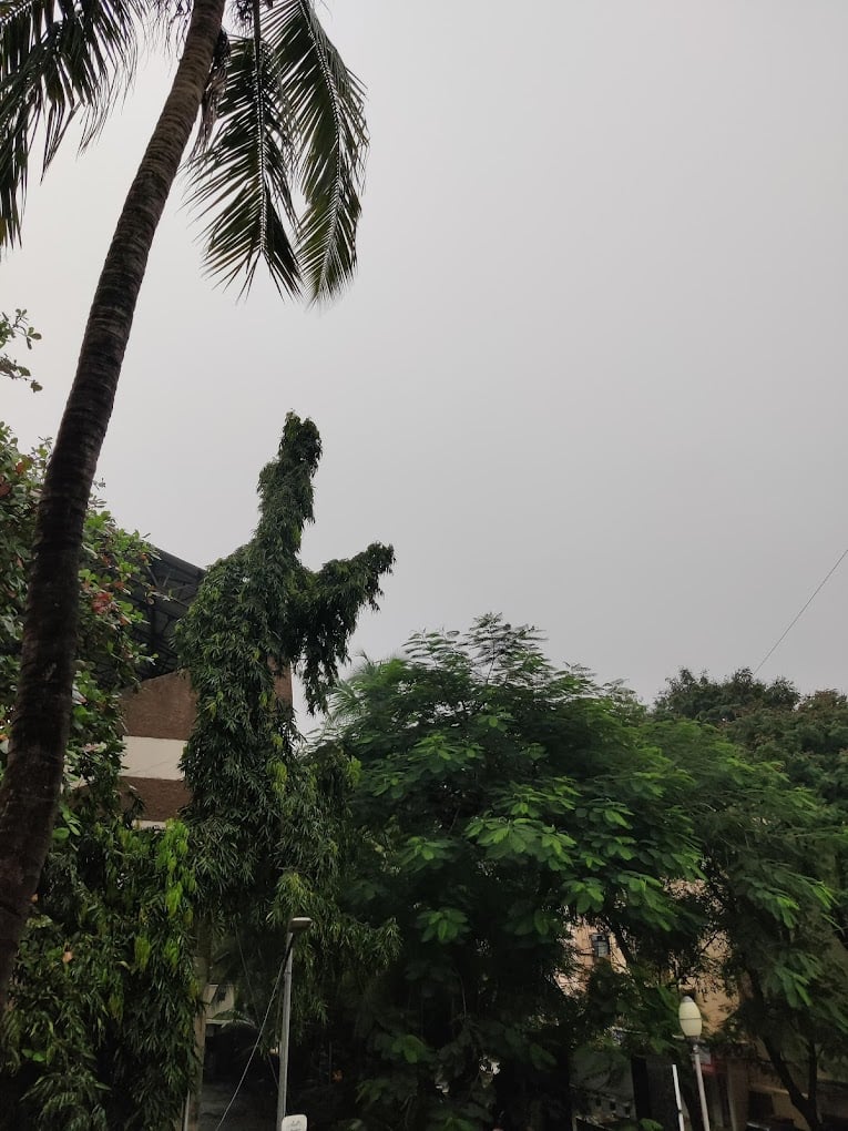 Yashwant Rama Salvi Swimming Pool - 4