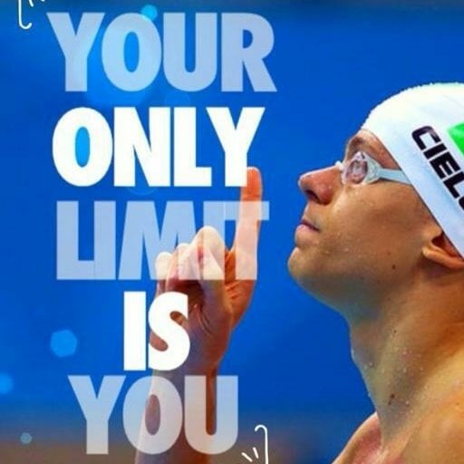 Dolphin Swimmers Welfare Association - 1