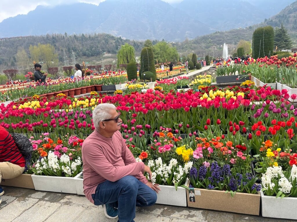 Dosti Tours & Travels - 2