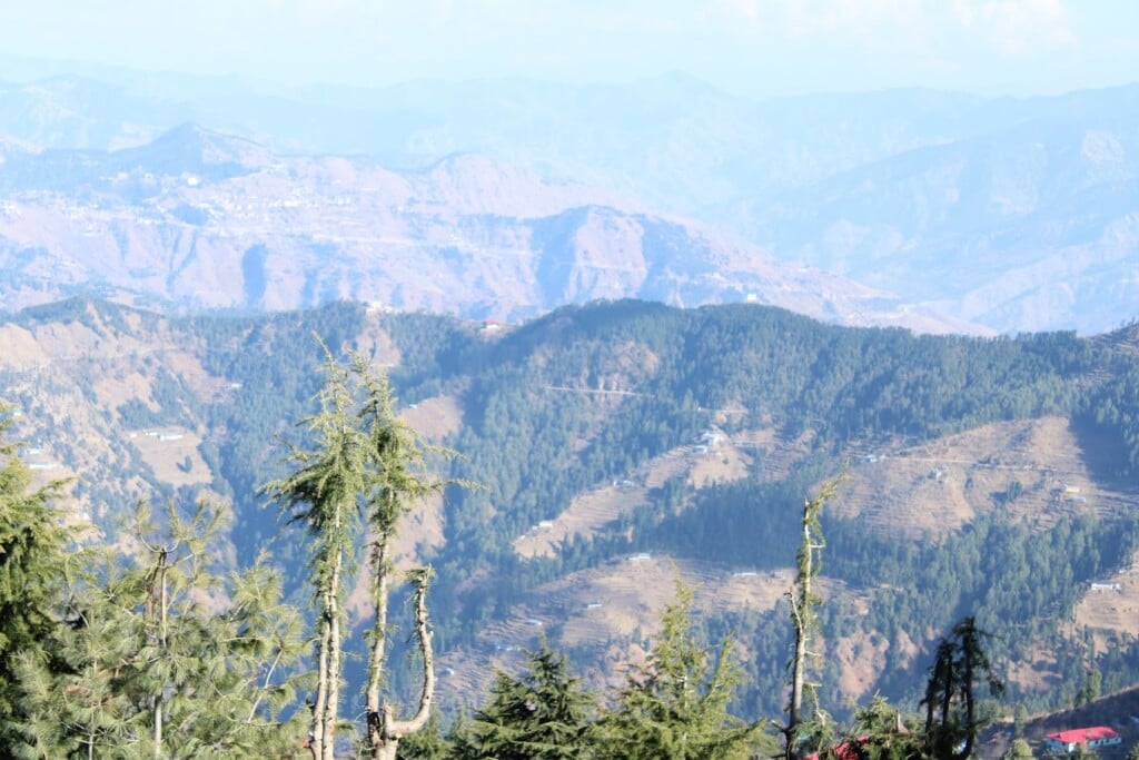 All India Roamers - 5