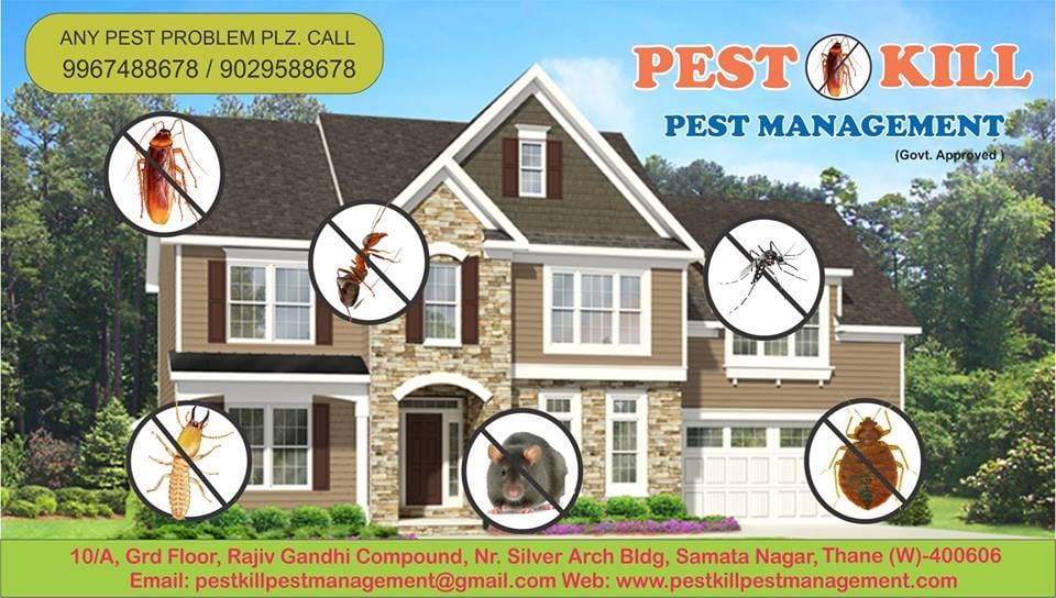 Pest Kill Pest Management