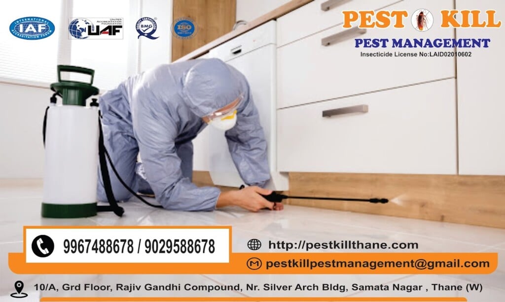 Pest Kill Pest Management - 2