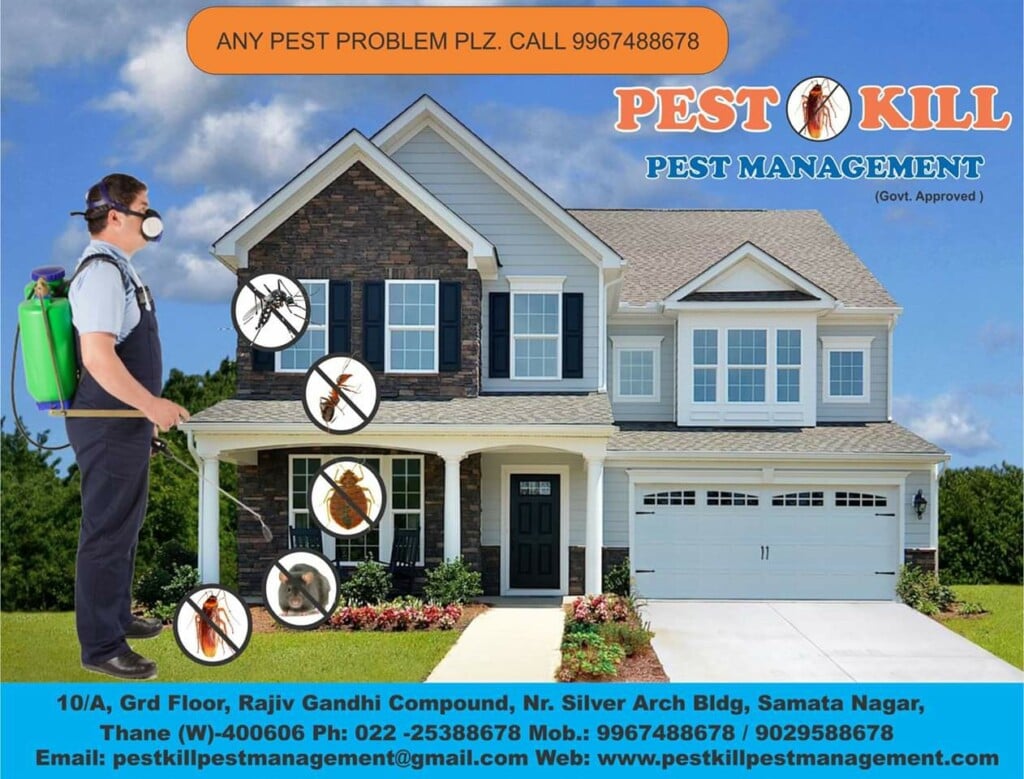 Pest Kill Pest Management - 4