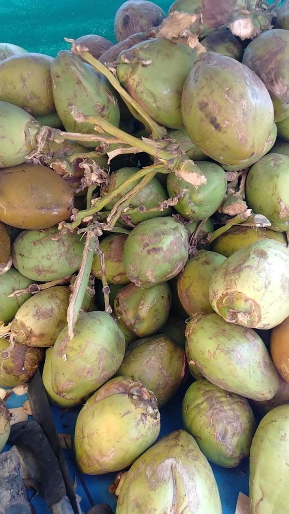 Maa durga fruits&juice center & panipuri center - 2