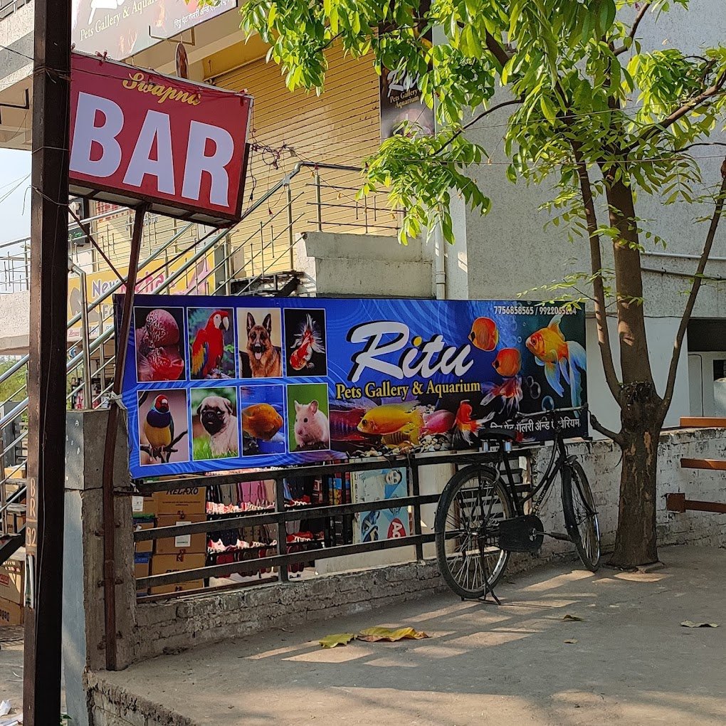 Ritu Pets Gallery & Aquarium - 5