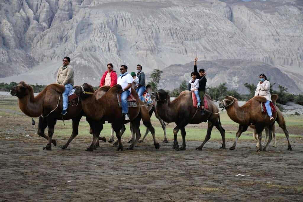 AVM Tours And Travels Nagpur | Travel Agency In Nagpur - 2