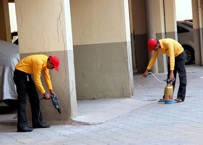 JAY PEST CONTROL - (Herbal Pest Control & Best Pest Control Services In Nagpur) - 5