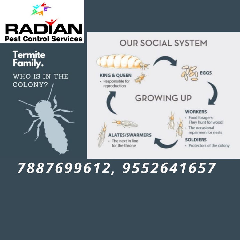Radian Pest Control Services - 2