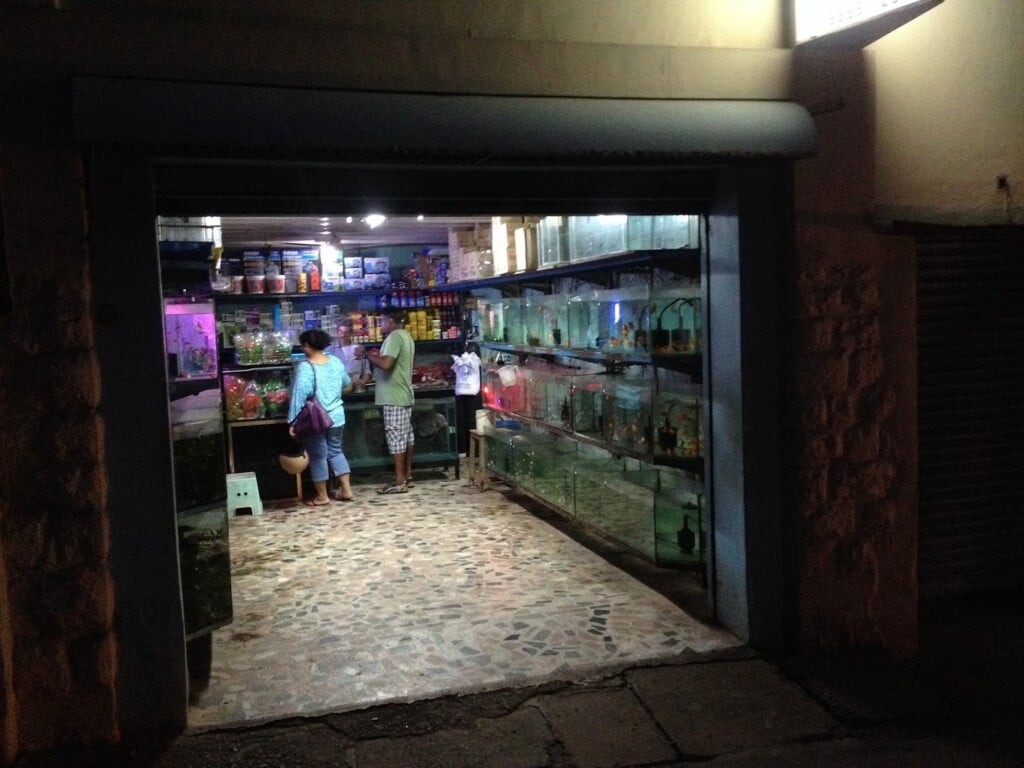 Pretty Pets Centre - 5