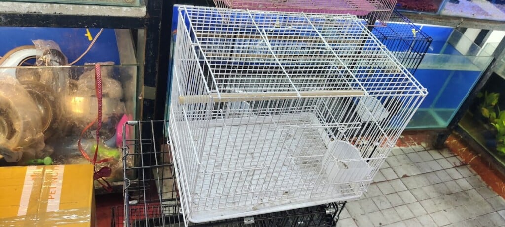 Bow Wow - Aquarium & Pets Shop - 2