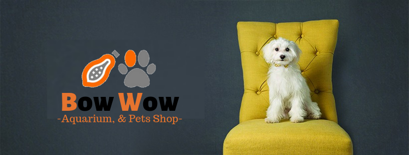 Bow Wow - Aquarium & Pets Shop - 4
