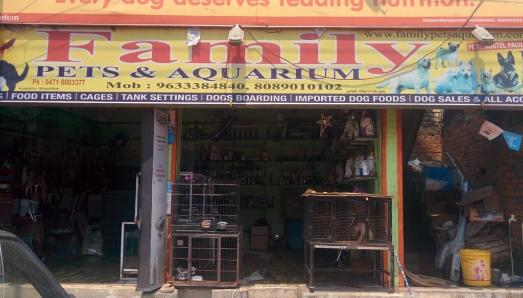 Family Pets & Aquarium - 2