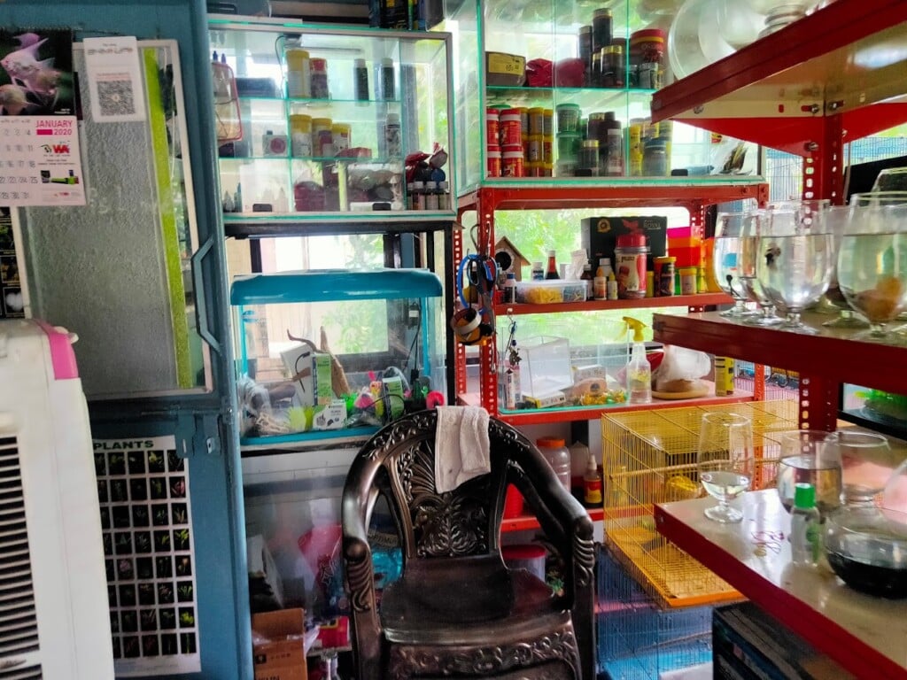 Jewel Pets corner - 2