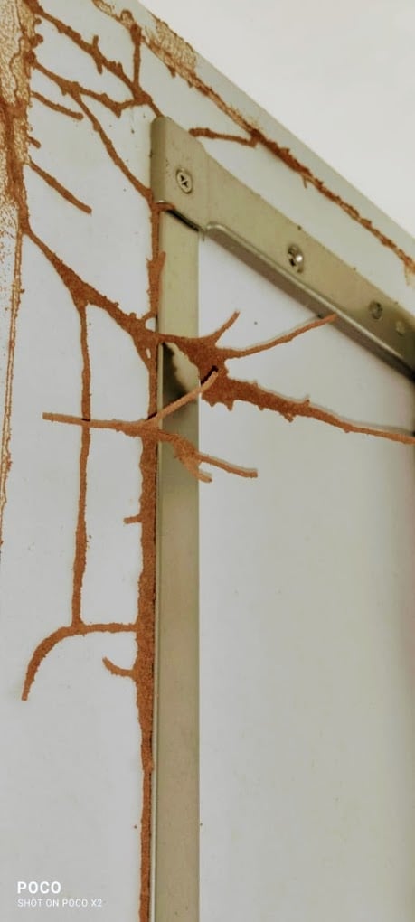 Asian Pest Control Service in Trivandrum