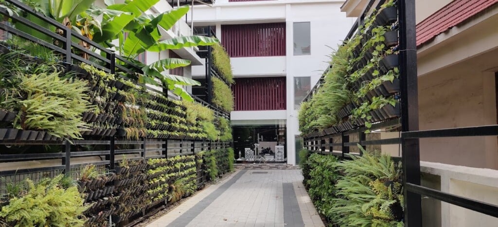 Pest Control & Cleaning Services