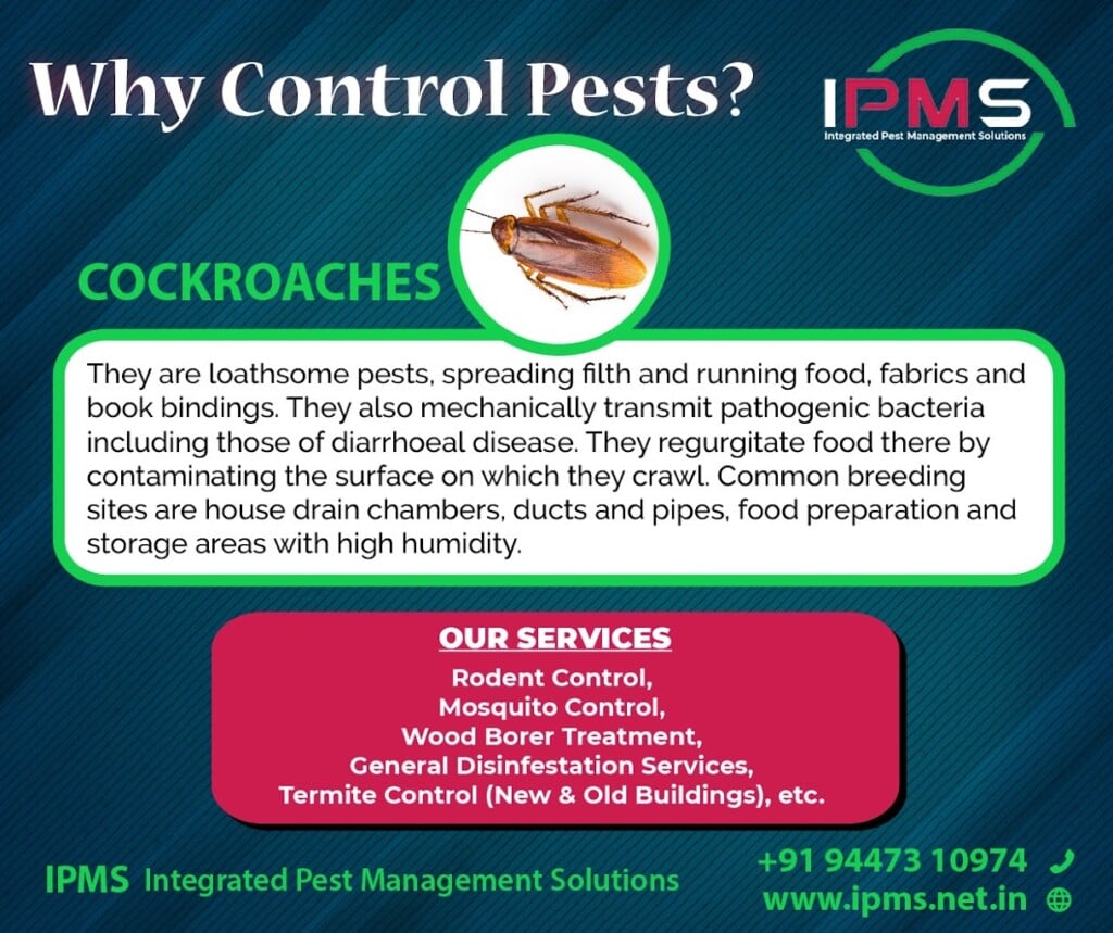 Integrated Pest Management Solutions - 2