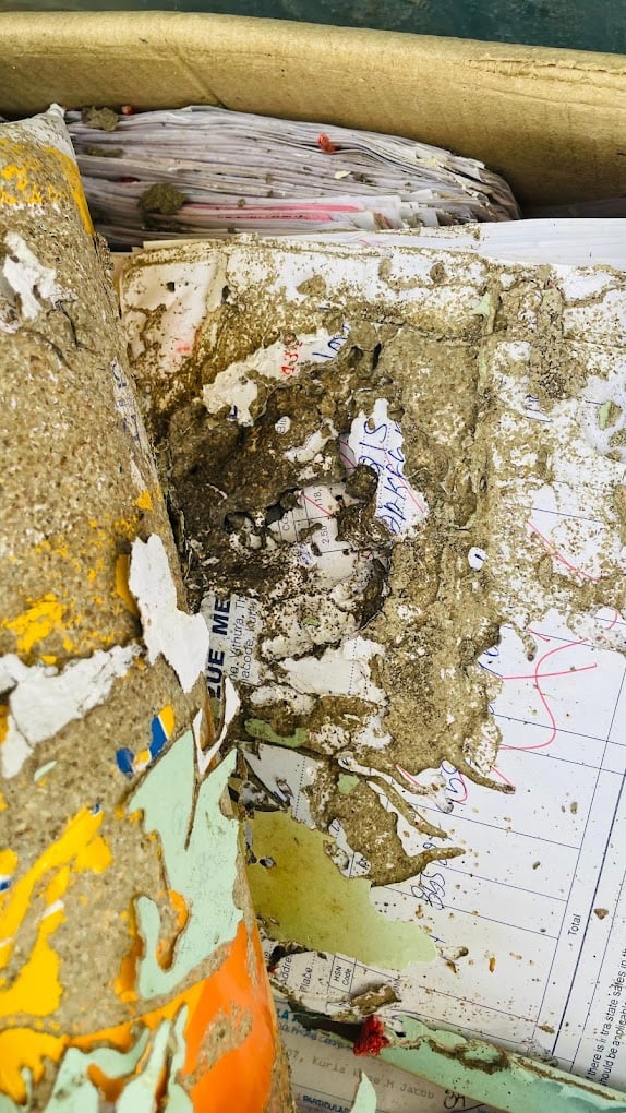 Good care pest control - 3