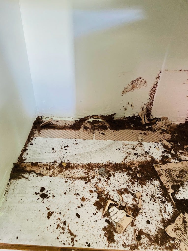 Good care pest control - 4