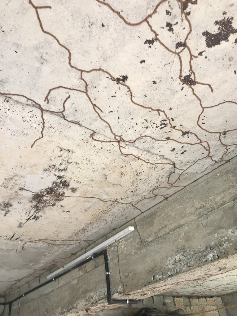 ADVANCE PEST CONTROL SERVICES - 2