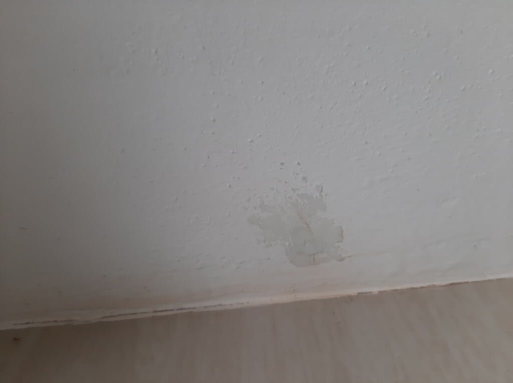 ADVANCE PEST CONTROL SERVICES - 3