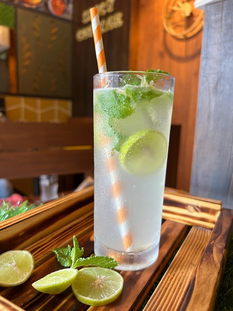 Spicy Cottage Veg & Non-Veg - 4