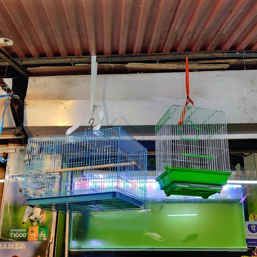 Prince Pets & Aquarium Siolim - 4