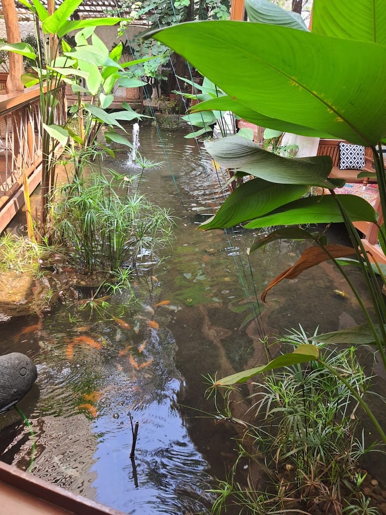 Swimming Pool and Spas - 3