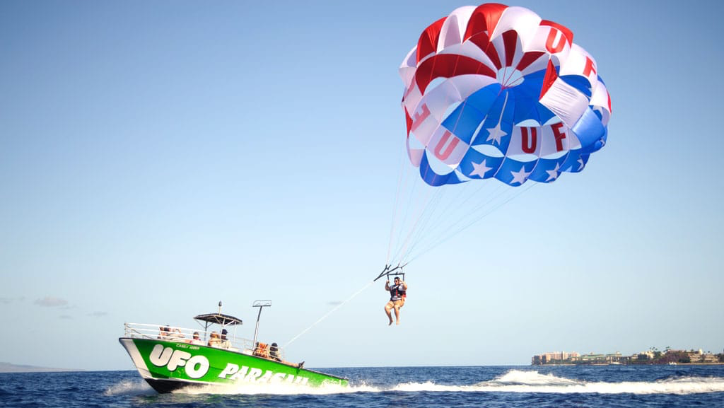 EasyWay Tours & Travels - 5