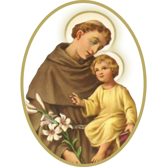 St. Anthony Driving School