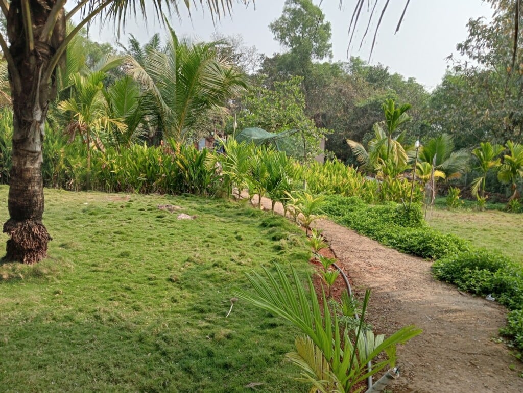 6 Shades Of Nature - 3