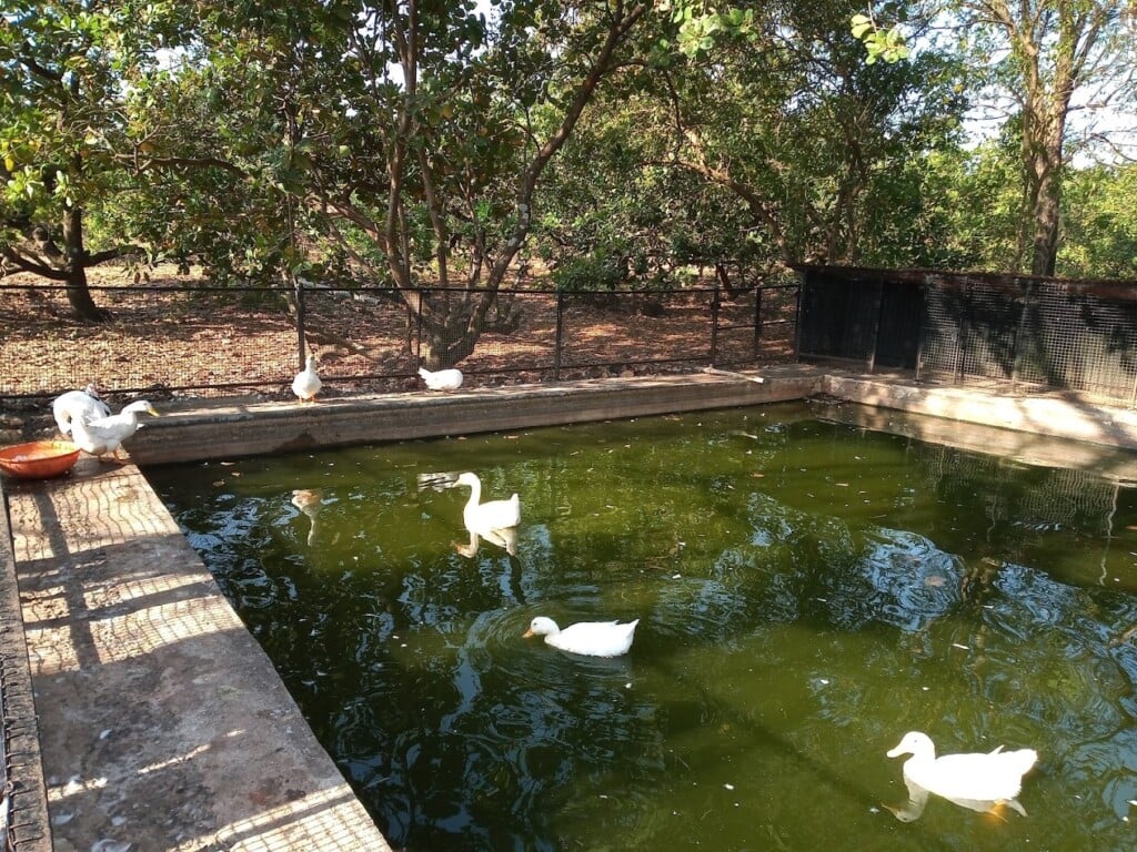 Heera Recreation & Entertainment - 2