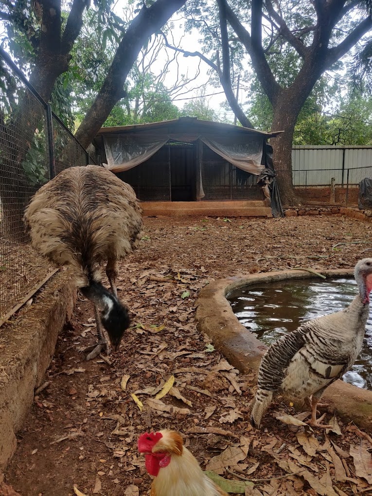 Heera Recreation & Entertainment - 3